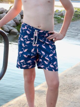 Cobalt Board Shorts